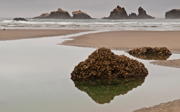 Bandon-Beach 7989.jpg